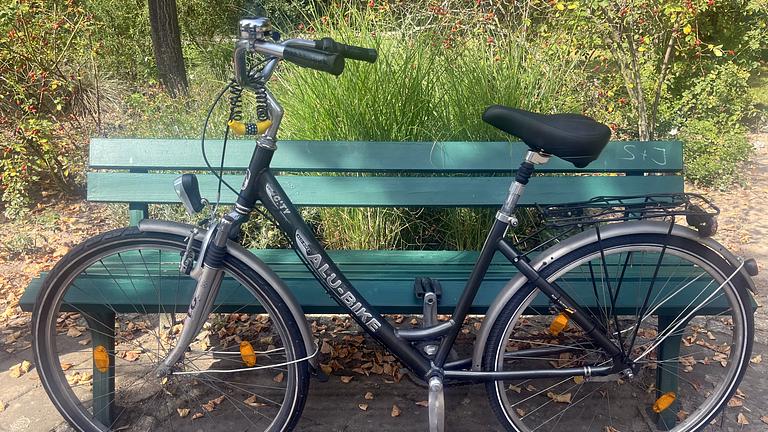 Vorschaubild Damenfahrrad | Fahrrad ALU-BIKE | Federung | 26" | LED Licht