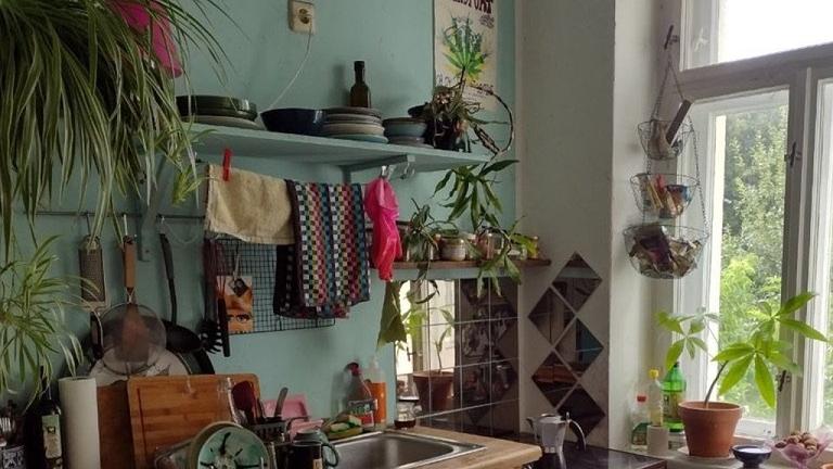 Zwischenmiete in Leipzig (22.7.-30.9.) - 2 ZKB Altbau