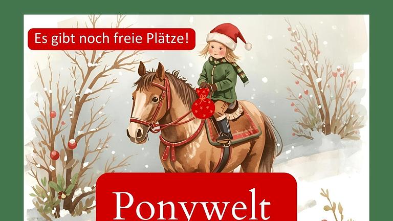 hofpferde Ponywelt - Nikolaus