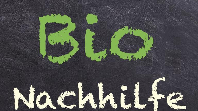 Biologie-Nachhilfe von 1,0 Abiturient & angeh. Medizinstudenten