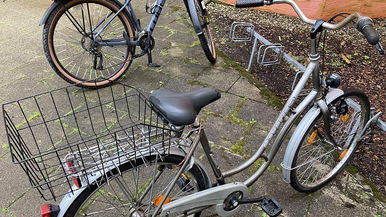 Stadtfahrrad Bavaria Line Lizzard für Damen, Nabenschaltung, Beleuchtung, Korb