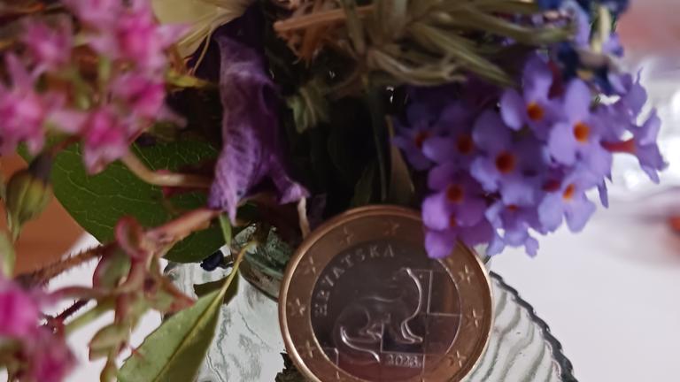 1 Euro Europamünze MARDER