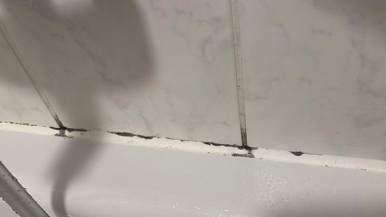 0,5 Stunden Arbeit in Lindenau / 50 € für Silikonverfugung Badewanne