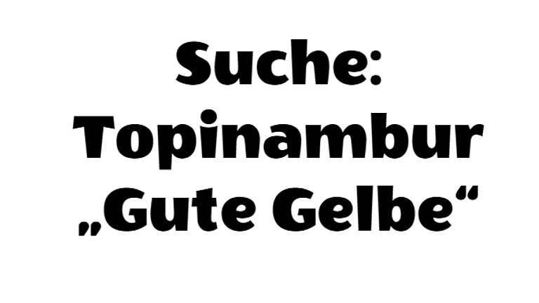 Suche: Topinambur "Gute Gelbe"
