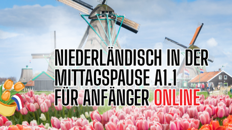 Niederländisch in der Mittagspause A1.1  - Online über Zoom!