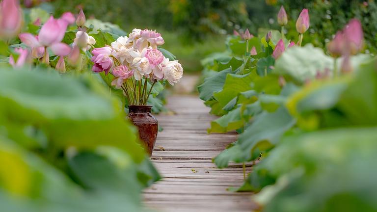 Unterstüzung im Garten und rund ums Haus