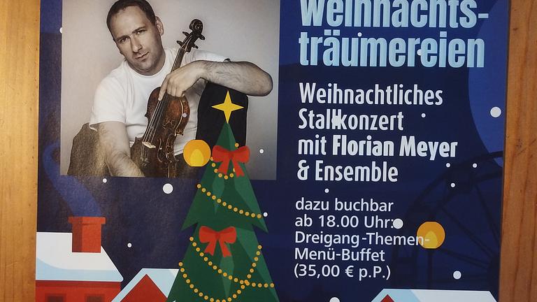 Weihnachtsträumerei - Geigenvirtuose der Extraklasse