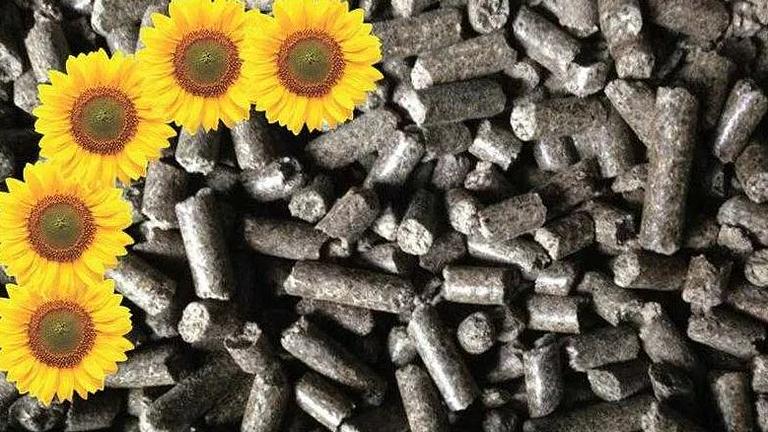 Vorschaubild Sonnenblumenschalen Pellets 8 mm Brennstoff