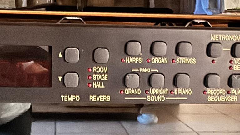 Klavier Stummschaltung Technics SMZS30