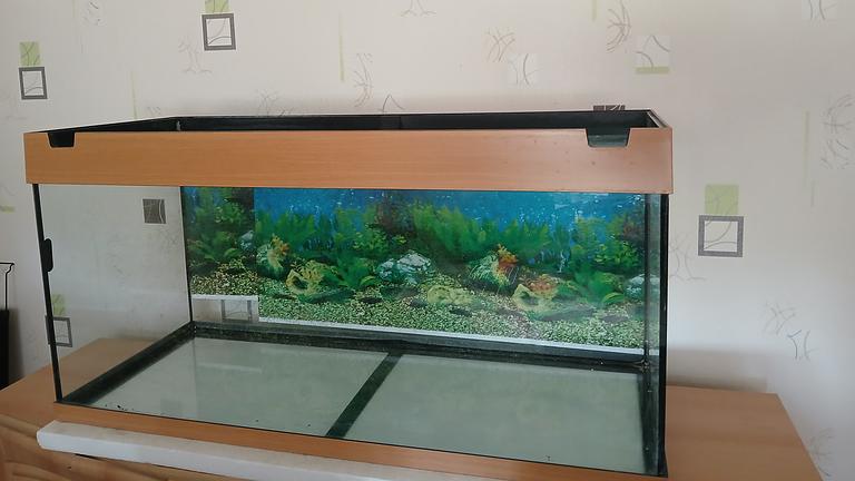 Aquarium zu verkaufen