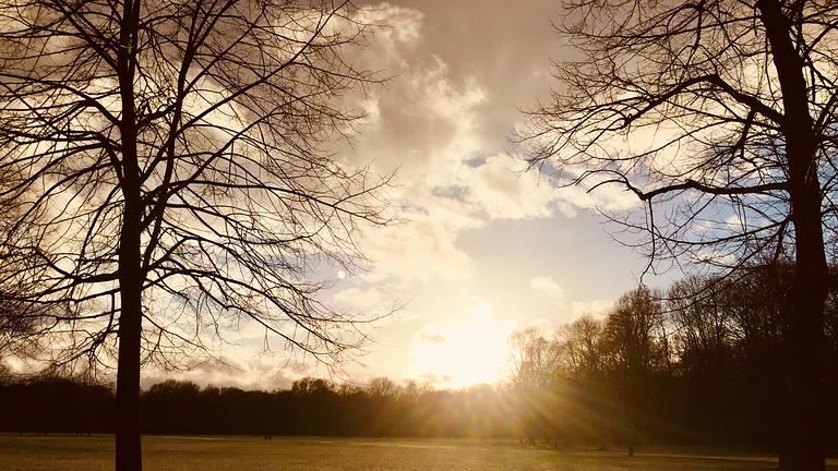 Gut sortiert ins neue Jahr: Philosophischer Jahresausklang