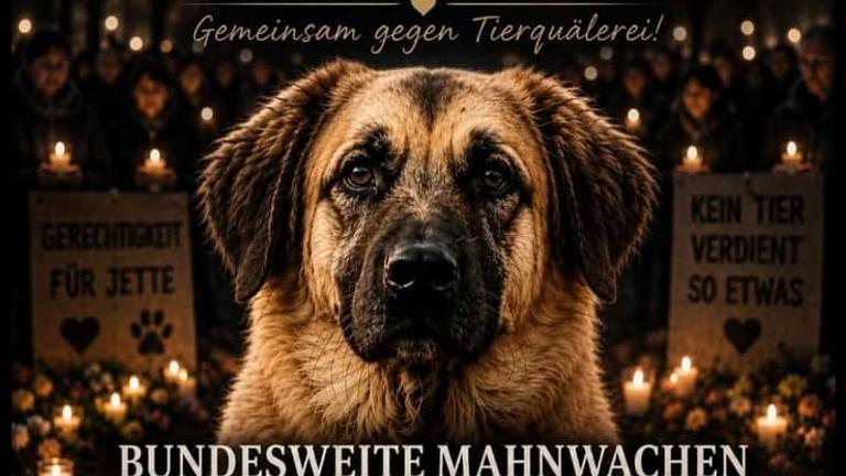Mahnwache in 66663 Merzig