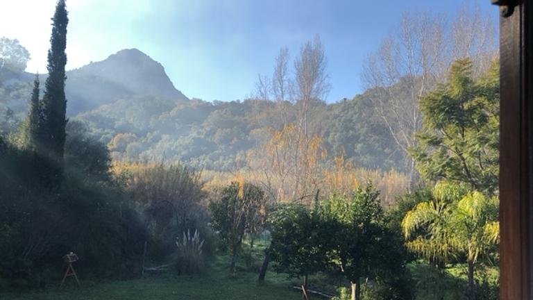 🪷 PARADIES-FARM SUCHT HELFER'INNEN IM GRÜNEN, WARMEN ANDALUSIEN 🪷