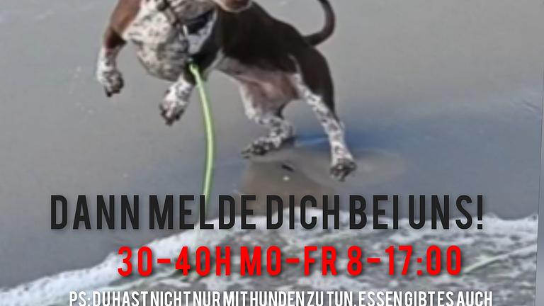 Vorschaubild Köchin/Koch Mo-Fr 8-17:00
