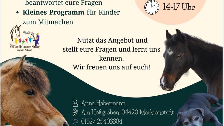 Kennenlerntag am 3.10.2026 bei der Ponybande Markranstädt