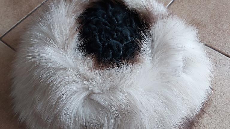 Pelzmantel zu verkaufen!