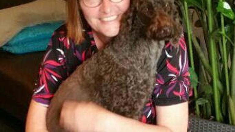 Betreuung kleiner Hunde