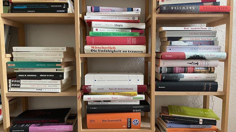 Bibliotheksauflösung | LiWi, KuWi, Kritische und Feministische Theorie,  Romane