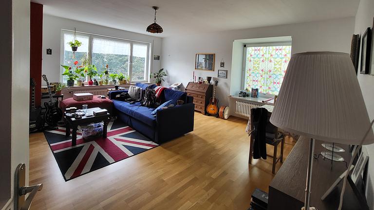 2-Zimmer-Wohnung am Killesberg