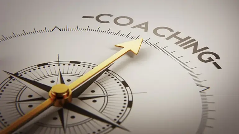Systemisches Coaching