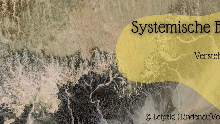 Systemische Beratung / Systemic Counseling (DE/EN) - Spendenbasis