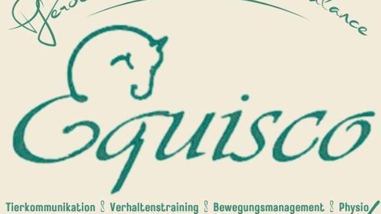 Verstehst du deinen Hund trotz Training nicht?