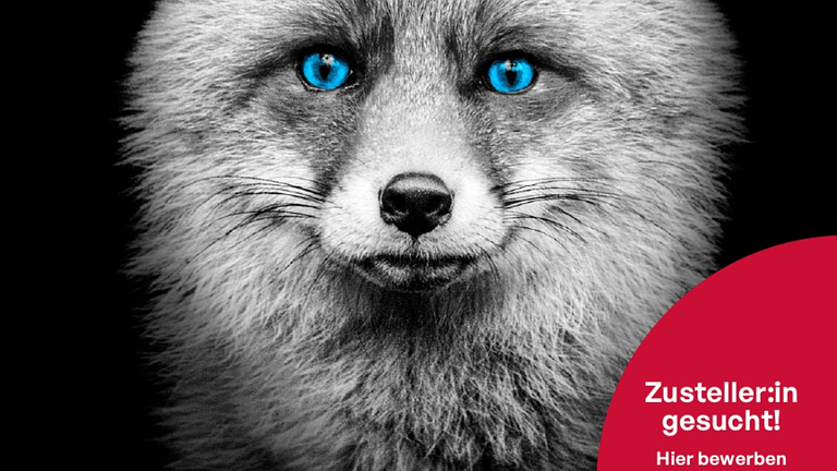 Zeitungszusteller (m/w/x) auf Minijob-Basis oder Teilzeit