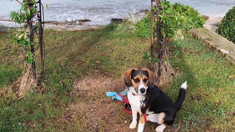 Abendessen am Heiligen Abend 24.12.25